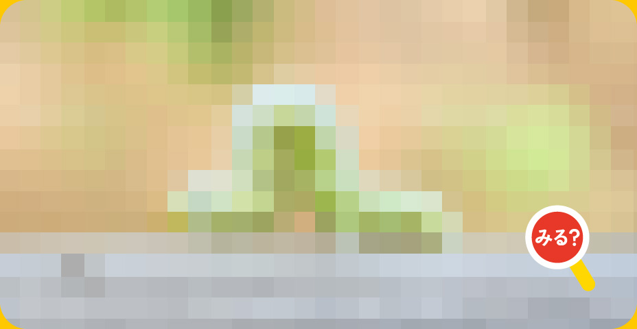 みる？