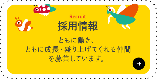 採用情報